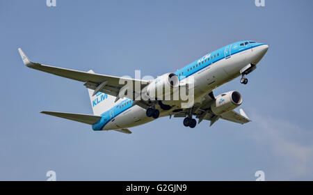 KLM Royal Dutch Airlines Boeing 737 PH-BGM kommt an Land am Flughafen London-Heathrow LHR Stockfoto