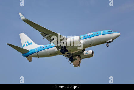 KLM Royal Dutch Airlines Boeing 737 PH-BGM kommt an Land am Flughafen London-Heathrow LHR Stockfoto