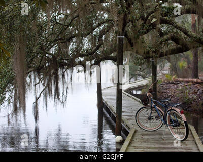 an Bord gehen in nebligen Morgen in Low Land South Carolina Stockfoto