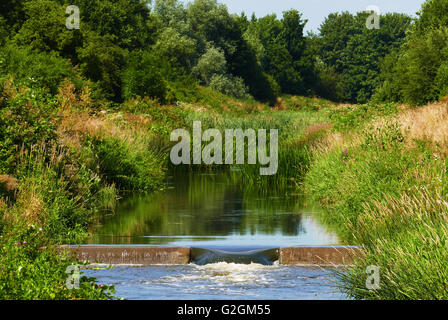 Einem ruhigen Abschnitt des Flusses Roding läuft über ein Wehr, Wanstead, London E11 in der Nähe von Essex Grenze. Stockfoto