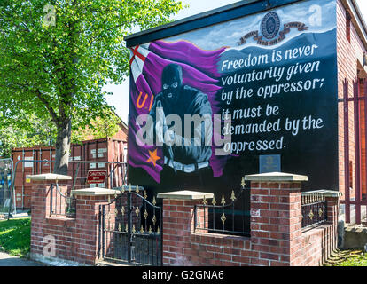 UVF Wandbild in Sydenham Gegend von East Belfast. Stockfoto