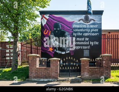 UVF Wandbild in Sydenham Gegend von East Belfast. Stockfoto