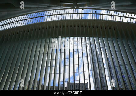 Männer, die auf das WTC Oculus Glas Dach/Dachfenster, New York City, NY, USA Stockfoto