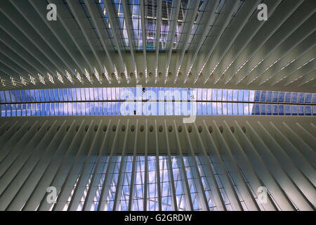 Männer, die auf das WTC Oculus Glas Dach/Dachfenster, New York City, NY, USA Stockfoto