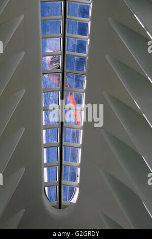 Mann, die Reinigung der WTC Oculus Glas Dach/Dachfenster, New York City, NY, USA Stockfoto