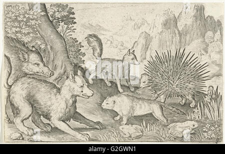 Wildschwein, Fuchs, Biber, Stachelschweine und Frösche, Nicolaes de Bruyn, 1594 Stockfoto