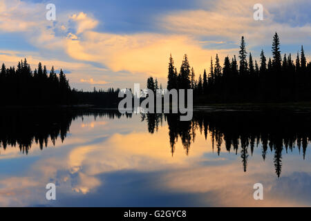 Borealen Wälder spiegelt sich in Grass River Pisew Falls Provincial Park Manitoba Kanada Stockfoto