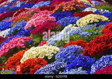 Welt weltberühmten Butchart Gardens Victoria British Columbia Kanada Stockfoto