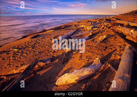 Treibholz am Ufer des Great Slave Lake bei Sonnenuntergang Hay River in den Northwest Territories in Kanada Stockfoto