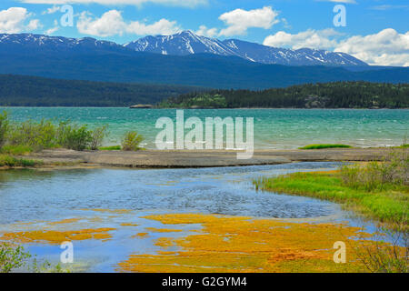 Marsh Lake, eine Aufweitung des Yukon Rivers über den Alaska Highway in der Nähe von Whitehorse, Yukon, Kanada Stockfoto