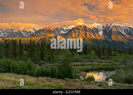 St. Elias Mountains, einer Untergruppe der Pacific Coast Ranges bei Sonnenaufgang Haines Junction Yukon Kanada Stockfoto