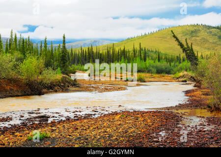 Red Creek entlang der Dempster Highway Km 168 Dempster Highway Yukon Kanada Stockfoto