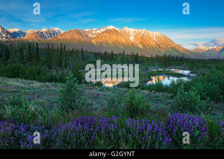 St. Elias Mountains, einer Untergruppe der Pacific Coast Ranges bei Sonnenaufgang Kluane National Park Yukon Kanada Stockfoto