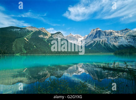 Rocky Mountains reflektiert in Emerald Lake Yoho Nationalpark in British Columbia Kanada Stockfoto