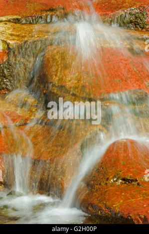 Detail des Wassers über die Felsen in Red Rock Canyon Waterton Lakes National Park in Alberta Kanada Stockfoto