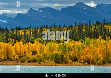 Kanadische Rockies und Abraham See im Herbst David Thompson Hwy Alberta Kanada Stockfoto