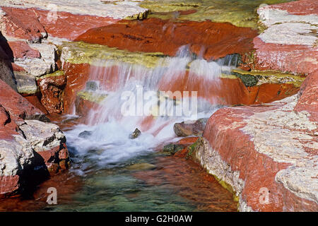 Wasser fließt über den roten und grünen Tonschiefer Felsen in Red Rock Canyon Waterton Lakes National Park in Alberta Kanada Stockfoto