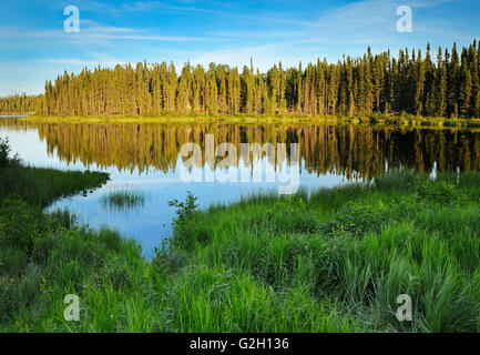 Borealen Wald und See Küste bei Sonnenuntergang in der Nähe von Pickle Lake Ontario Canada Stockfoto