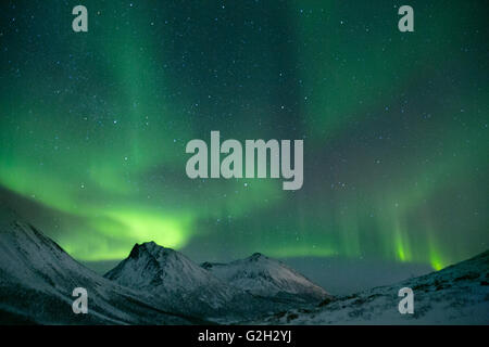 Bestaunen Sie die Nordlichter in Kvaloya Insel, Tromsø, Norwegen.  Wir hatten eine erstaunliche mit dem Himmel alle es sich durch das grüne Leuchten. Stockfoto