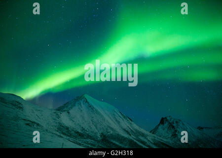 Bestaunen Sie die Nordlichter in Kvaloya Insel, Tromsø, Norwegen.  Wir hatten eine erstaunliche mit dem Himmel alle es sich durch das grüne Leuchten. Stockfoto