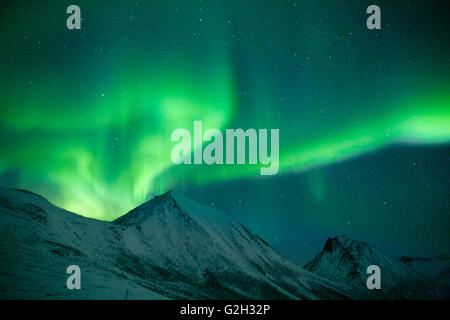 Bestaunen Sie die Nordlichter in Kvaloya Insel, Tromsø, Norwegen.  Wir hatten eine erstaunliche mit dem Himmel alle es sich durch das grüne Leuchten. Stockfoto