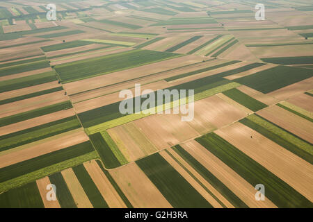 Ackerland Luftaufnahmen in Vojvodina, Serbien Stockfoto