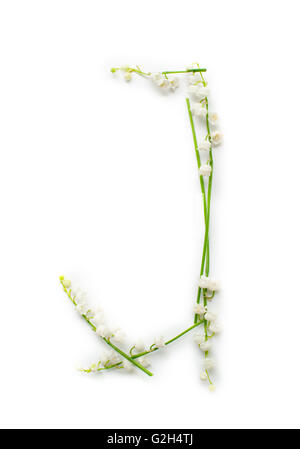 Englische Alphabet von Blume Buchstaben. kreative Deko Buchstabe J Stockfoto