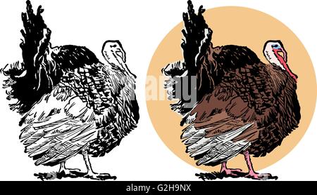 Thanksgiving-Truthahn Stock Vektor