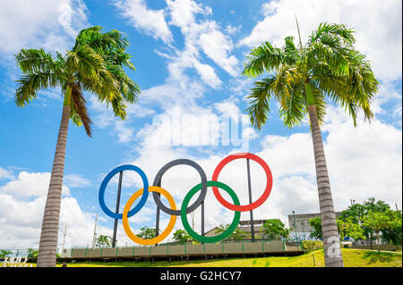 RIO DE JANEIRO - 18. März 2016: Olympische Ringe stehen neben hohen Palmen im Parque Madureira Park in die Zona Norte Vororte. Stockfoto