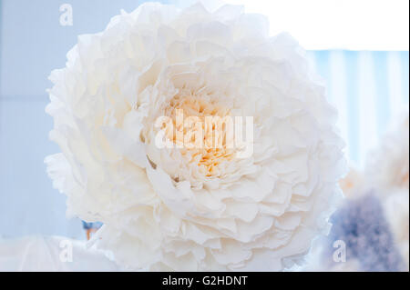 schöne weiße Papierblume für Hochzeitsdekoration Stockfoto