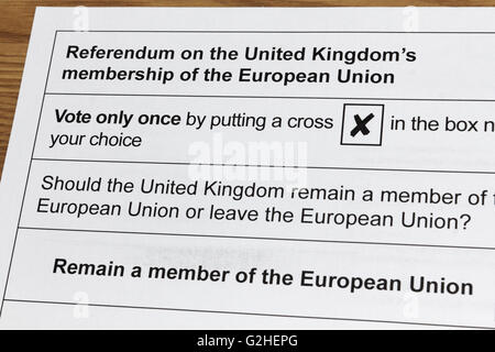 Epsom, Surrey, England, UK. 30. Mai 2016. Die Briefwahl für das Referendum über die Mitgliedschaft des Vereinigten Königreichs der Europäischen Union wurde heute vor Wahltag am 23. Juni geliefert. Stockfoto
