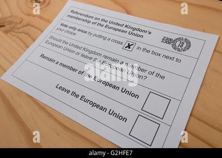 Stimmzettel für die UK 2016 Referendum über die EU-Mitgliedschaft Stockfoto