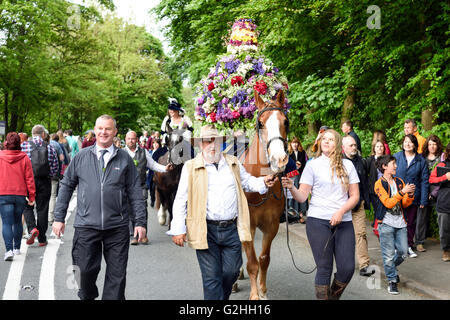 Castleton, Derbyshire, UK. 30. Mai 2016. Alten Garland Zeremonie obwohl die Straßen von Castleton im Peak District. Die Girlande "selbst ist ein Bienenstock förmigen Kopf-Kleid, mit Wildblumen und grün, die vom König über seinen Kopf und Schultern getragen wird. Die oberste, abnehmbare Stück die Girlande ist bekannt als "The Queen" und ist auch ein kleiner Bienenkorb-Form. Der Kranz oft wiegt zwischen 50 und 60 Pfund und ist sehr schwer, auf des Königs Schultern zu tragen. Bildnachweis: Ian Francis/Alamy Live-Nachrichten Stockfoto