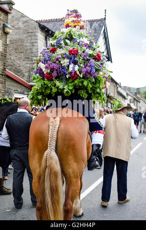 Castleton, Derbyshire, UK. 30. Mai 2016. Alten Garland Zeremonie obwohl die Straßen von Castleton im Peak District. Die Girlande "selbst ist ein Bienenstock förmigen Kopf-Kleid, mit Wildblumen und grün, die vom König über seinen Kopf und Schultern getragen wird. Die oberste, abnehmbare Stück die Girlande ist bekannt als "The Queen" und ist auch ein kleiner Bienenkorb-Form. Der Kranz oft wiegt zwischen 50 und 60 Pfund und ist sehr schwer, auf des Königs Schultern zu tragen. Bildnachweis: Ian Francis/Alamy Live-Nachrichten Stockfoto