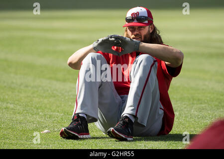 Philadelphia, Pennsylvania, USA. 31. Mai 2016. Washington Nationals linker Feldspieler Jayson Werth (28) blickt auf eine vor dem MLB-Spiel zwischen den Washington Nationals und Philadelphia Phillies im Citizens Bank Park in Philadelphia, Pennsylvania. Christopher Szagola/CSM/Alamy Live-Nachrichten Stockfoto