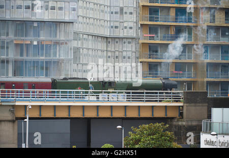 Battersea, London, UK. 1. Juni 2016. Die bekannteste Dampflokomotive der Welt, 60103 Flying Scotsman lässt Victoria Station an einem grauen Morgen auf einen Ausverkauf Ausflug Reisen über die Themse im Grosvenor Bridge in Battersea vor einer Tour der Kreide-Downs von Surrey Hills, das erste von zwei Ausflüge auf dieser Strecke heute von der zentralen London Endstation. Die Lokomotive übergibt neue Gehäuse der ehemaligen Battersea Power Station gebaut. Bildnachweis: Malcolm Park Leitartikel/Alamy Live-Nachrichten. Stockfoto