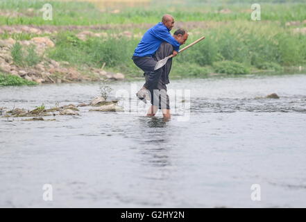 Shijiazhuang, China der Provinz Hebei. 31. Mai 2016. Jia Wenqi (R) trägt seinen Freund Jia Haixia in einem Fluss in der Provinz Hebei Yeli Dorf von Jingxing County, North China, 31. Mai 2016. 55-j hrige sightless Jia Haixia und 54 Jahre alten armlosen Jia Wenqi war 14 Jahre um eine Einöde in eine Oase verwandeln. © Zhu Xudong/Xinhua/Alamy Live-Nachrichten Stockfoto