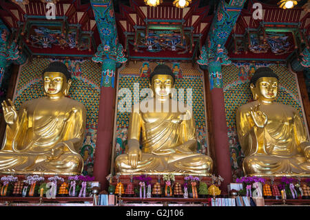 Goldenen Buddha-Statuen im Inneren Daeungjeon, Dharma Haupthalle, Jogyesa, Seoul, Südkorea Stockfoto