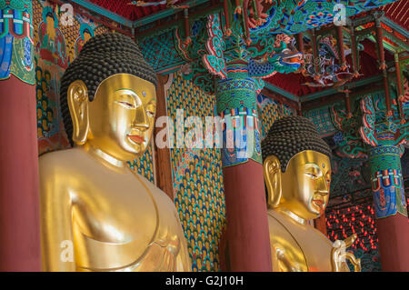 Goldenen Buddha-Statuen im Inneren Daeungjeon, Dharma Haupthalle, Jogyesa, Seoul, Südkorea Stockfoto