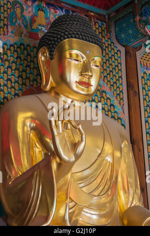 Goldenen Buddha-Statuen im Inneren Daeungjeon, Dharma Haupthalle, Jogyesa, Seoul, Südkorea Stockfoto