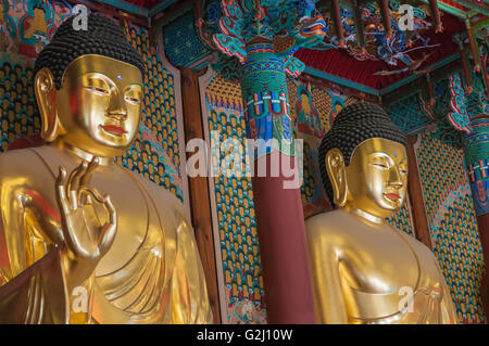 Goldenen Buddha-Statuen im Inneren Daeungjeon, Dharma Haupthalle, Jogyesa, Seoul, Südkorea Stockfoto