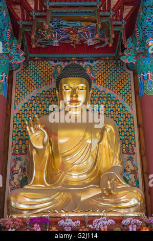 Goldenen Buddha-Statuen im Inneren Daeungjeon, Dharma Haupthalle, Jogyesa, Seoul, Südkorea Stockfoto