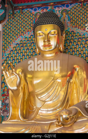 Goldenen Buddha-Statuen im Inneren Daeungjeon, Dharma Haupthalle, Jogyesa, Seoul, Südkorea Stockfoto