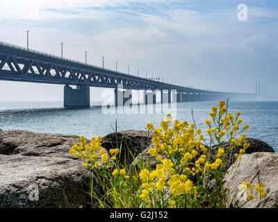 Öresund-Brücke zwischen Kopenhagen und Malmö, Kabel-gebliebene weltweit längste Brücke, Schweden, Europa Stockfoto