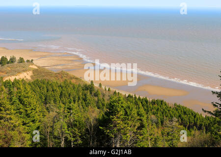 Ansicht der Unspoilled Wildnis mit Klippen und langen Strand in der Fundy Trail in New Brunswick, Kanada Stockfoto