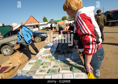 Ein russische Samen Verkäufer verkauft Pakete von Gemüse-Saatgut an Mitglieder der Öffentlichkeit in Raevka, Russland im Mai 2016 Stockfoto