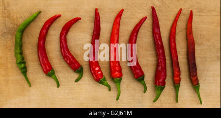 rote Chili Pepers hintereinander auf Holz Hintergrund grün ist einer der führenden Stockfoto