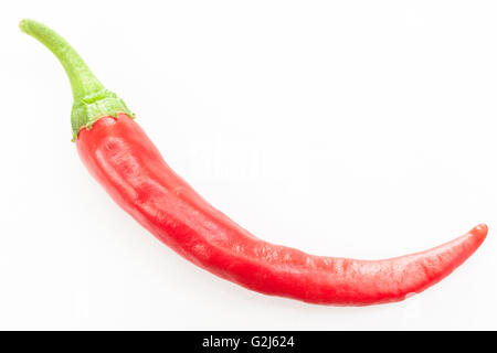 Einzelne, isoliert auf weiß rote Chilischote Stockfoto