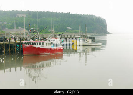 Angelboote/Fischerboote im Hafen im Nebel Alma New Brunswick, Kanada Stockfoto