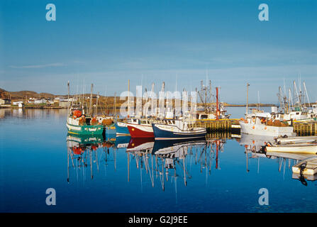 Angelboote/Fischerboote im Hafen von Gans Cove Neufundland Kanada Stockfoto